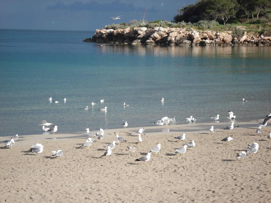 Playa del Levante by monicaespada