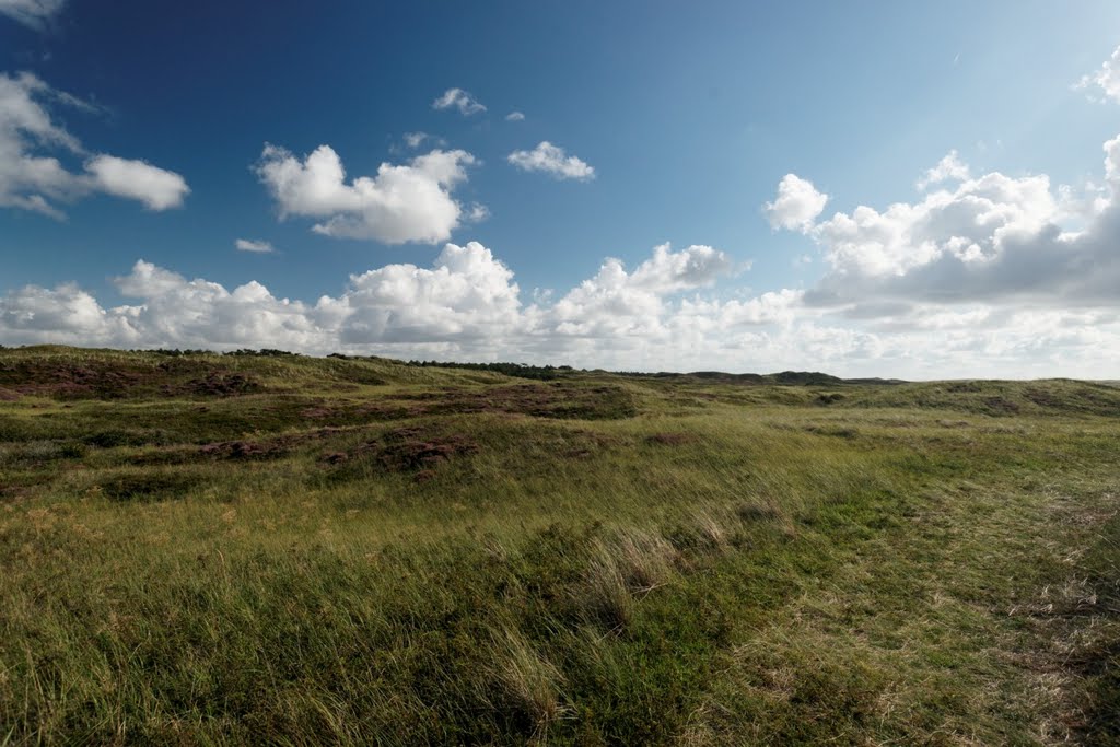 Texel - Westerslag - View South by txllxt TxllxT