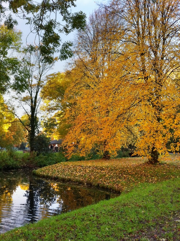 Autumn in Houtkamp by Yuri Gaidoukevitch