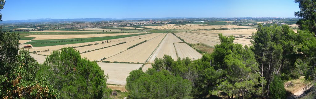 The drained lake of Montady from the Gaulish village at Enserune by Kevin J. Norman