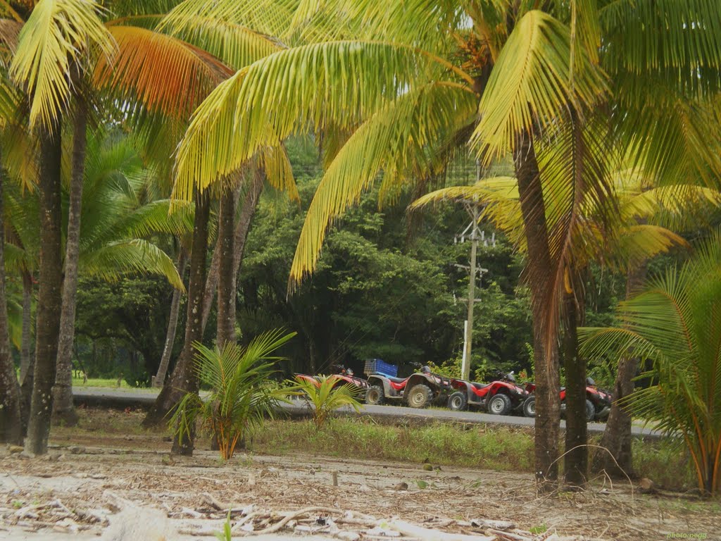 Playa Samara Costa Rica by thiera