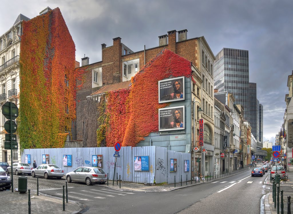 Wolvengracht at Leopoldstraat, Bruxelles, Belgium - October 31, 2010 by Giorgio Galeotti