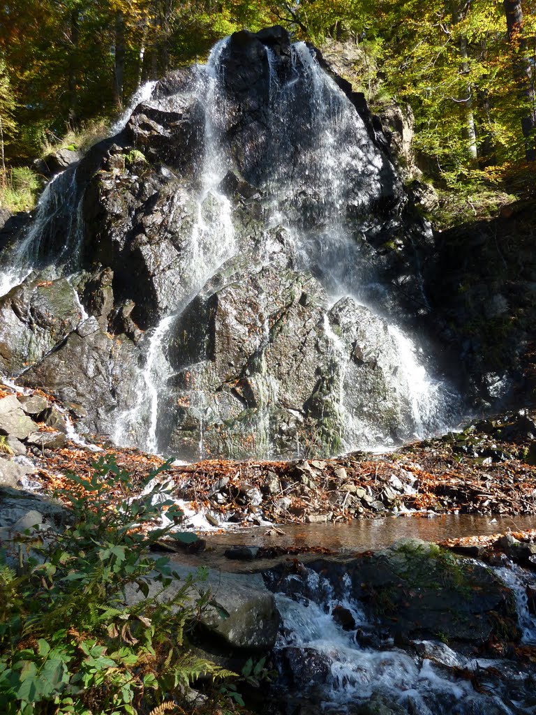 Bad-harzburg...radau-wasserfall by f.h ehrenberger germany