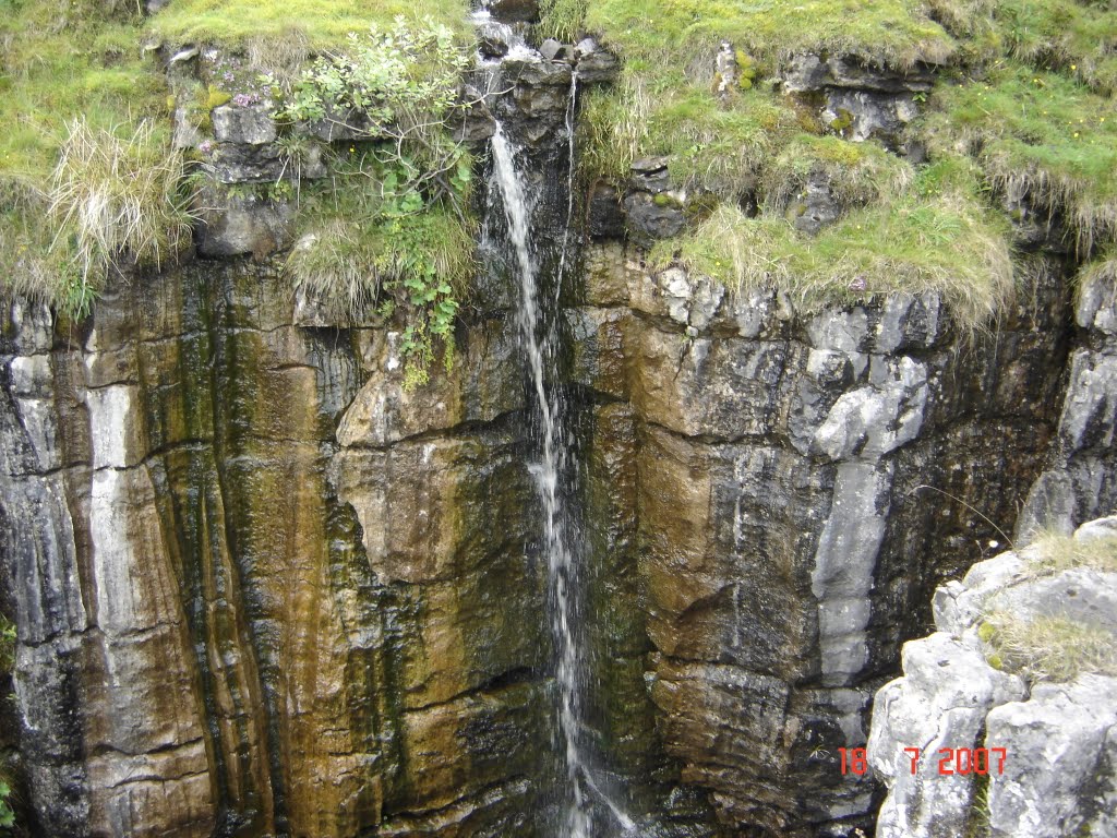 Cliff Force, Buttertubs Pass by Donna Dix