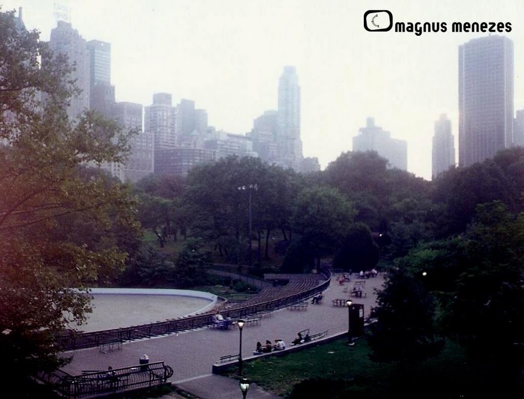 Central Park - N.Y by Maglem