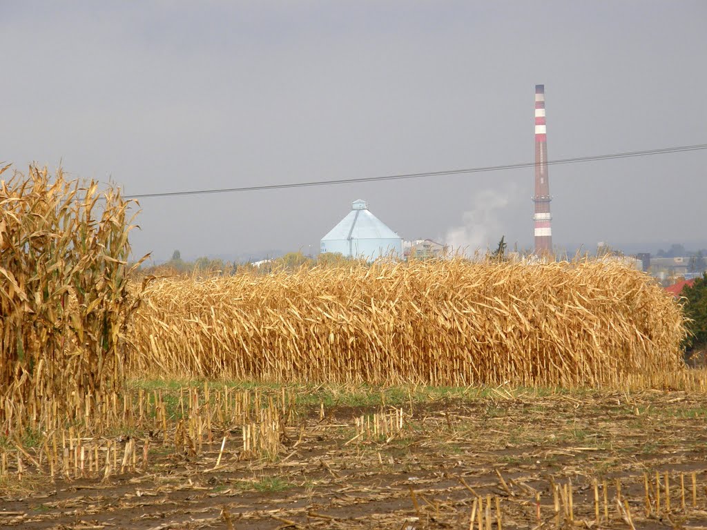 Podzim v Opavě (Autumn in Opava), 6 by MAPP HUDRANS