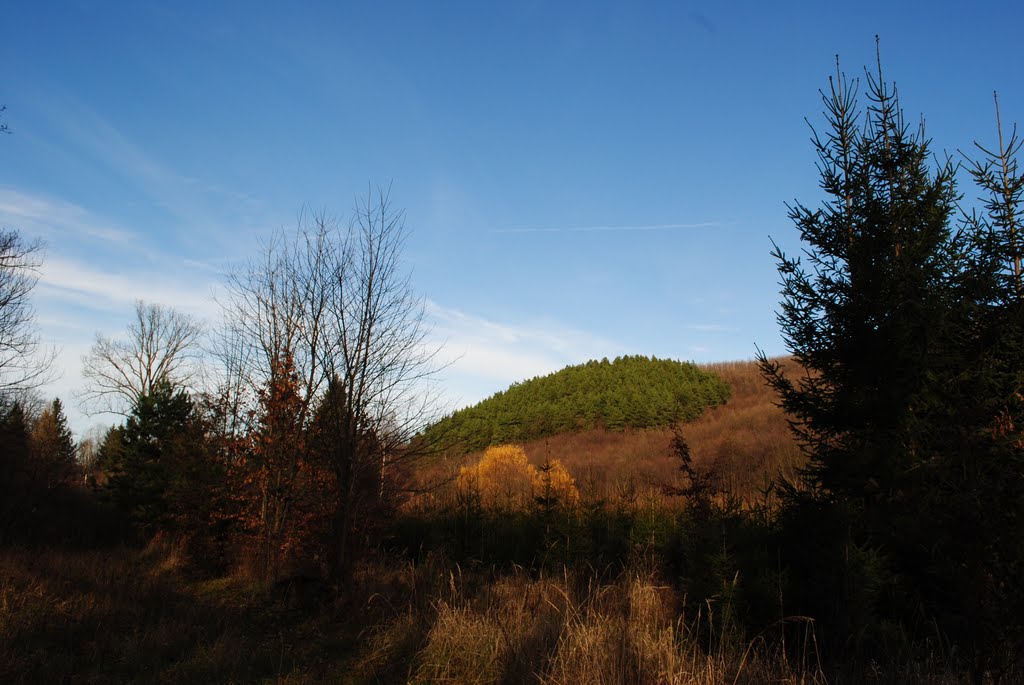 Green patch, near Parád, Mátra Mts., Hungary / zöld folt, Parád közelében, Mátra by Béla Somlai