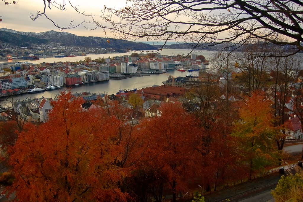 Vågen sett fra Fjellveien om høsten by foto-geir