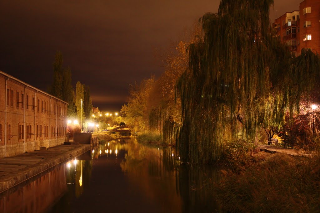 Canal/Noche by cricra