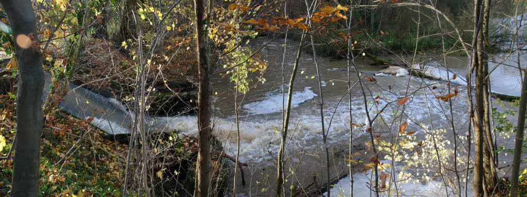 Zufluss zum Mühlenteich by wluut