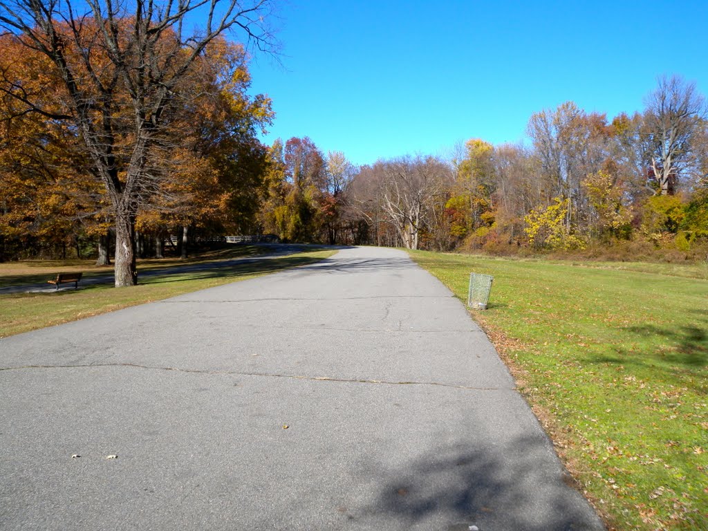 Saddle River Park Bike Path by Adam Elmquist