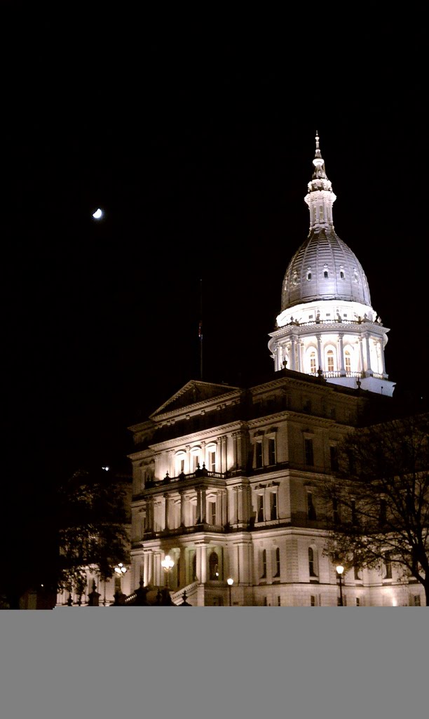 Michigan Capitol by hurstcor