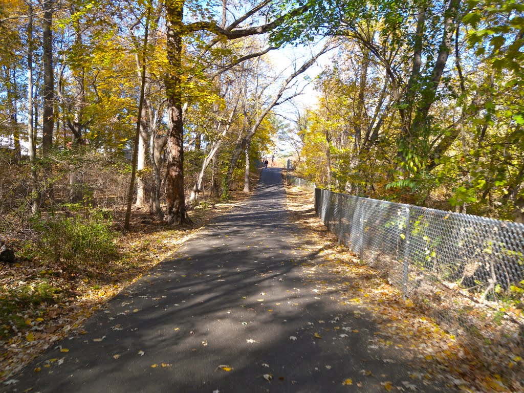 Saddle River Park Bike Path by Adam Elmquist