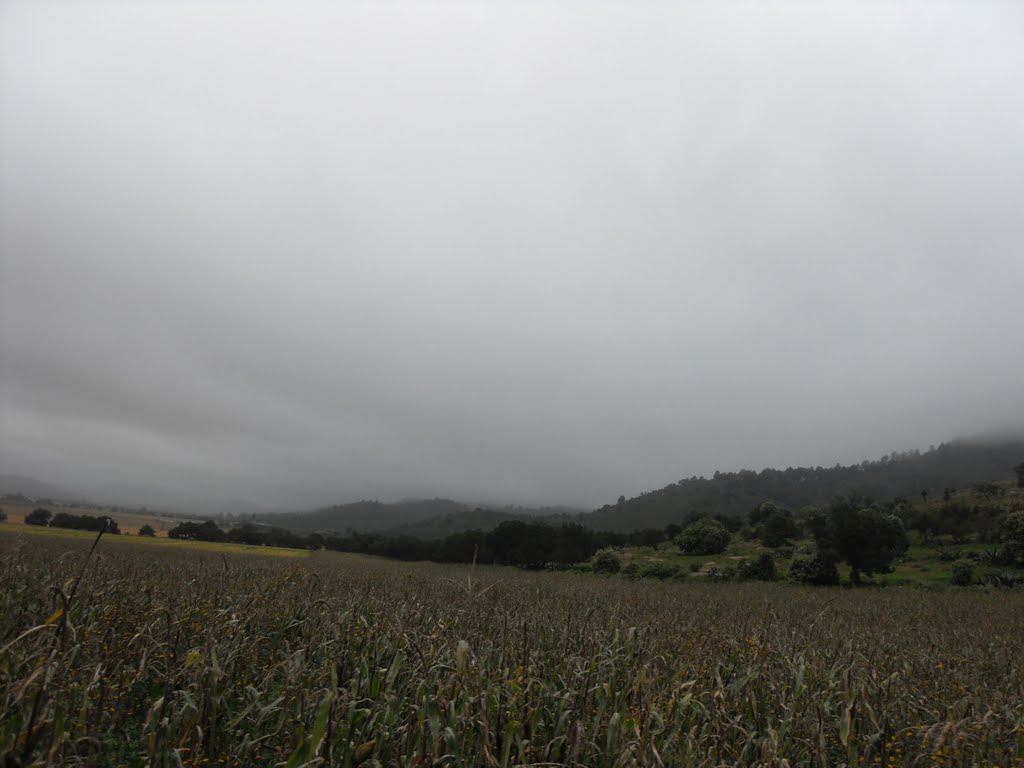 Cerro pinto cuyoaco by gregorio sanchez