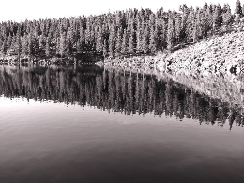 Serenidad reflejada. by nanoinca