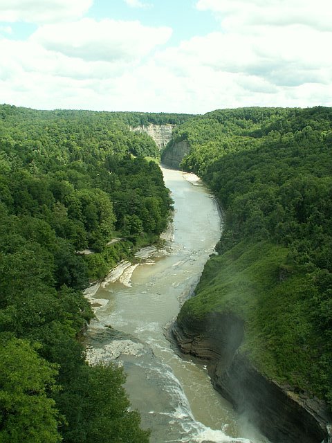 View From The Railroad Bridge Over the Genesee River by Glacia Chapman