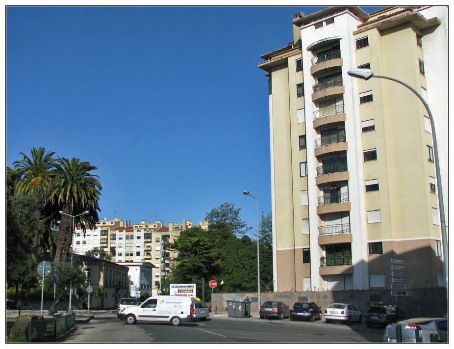 Rua Direita de Massamá - Estufa e Jardim Botânico by Barragon