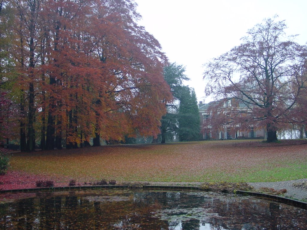 Villa at Oldenzaal (autumn) by Banja&FransMulder