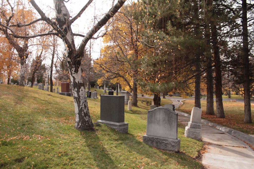 Last of the Fall Leaves in the Cemetery by TheShot