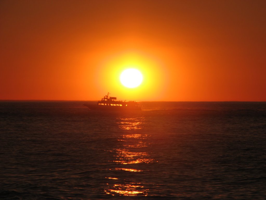 Whale Watch at Sunset from Race Point by ekr423