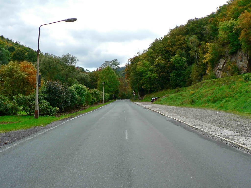 Schwarzburger Straße in Richtung Schwarzburg by Rolf Mueller