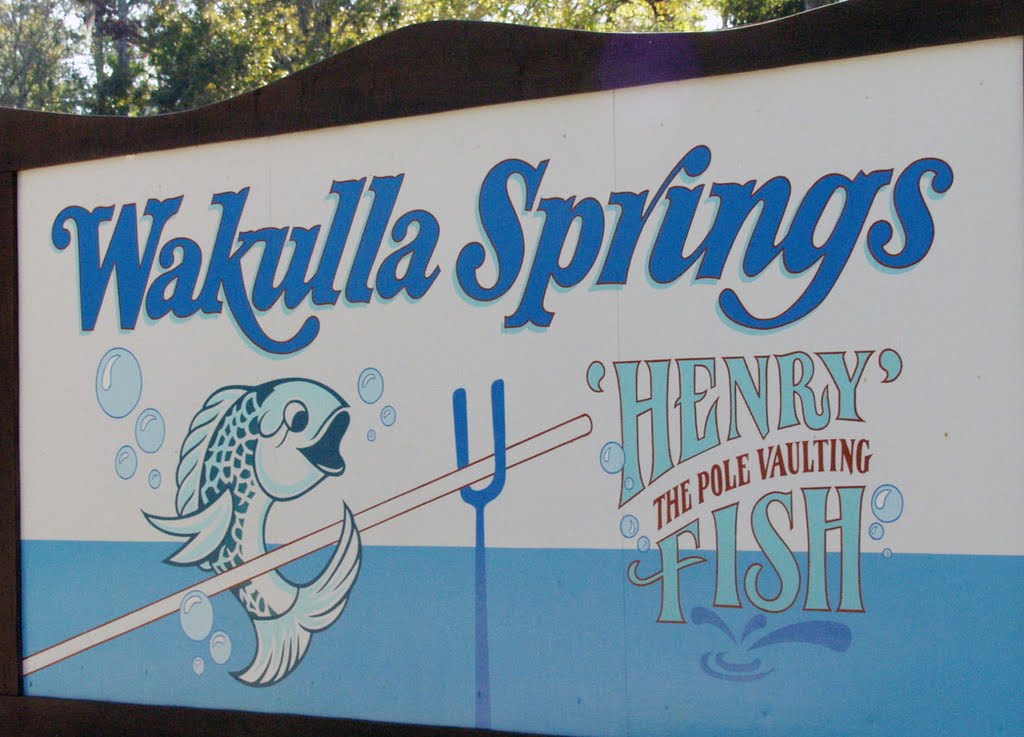 Wakulla Springs by Mekheda Alexander