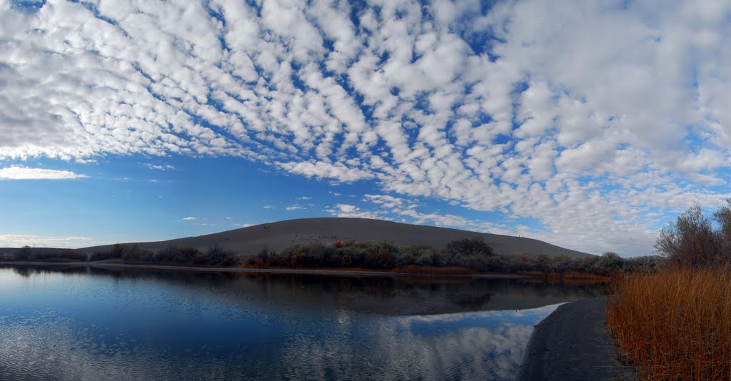 Bruneau Dunes Lake 7 (Pano) by Calvin McDonald