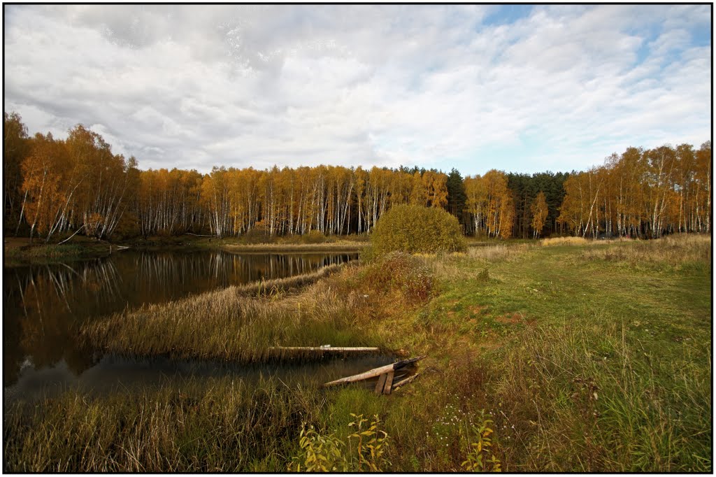 Осень, пруд в лесу 2010г. by mna7421