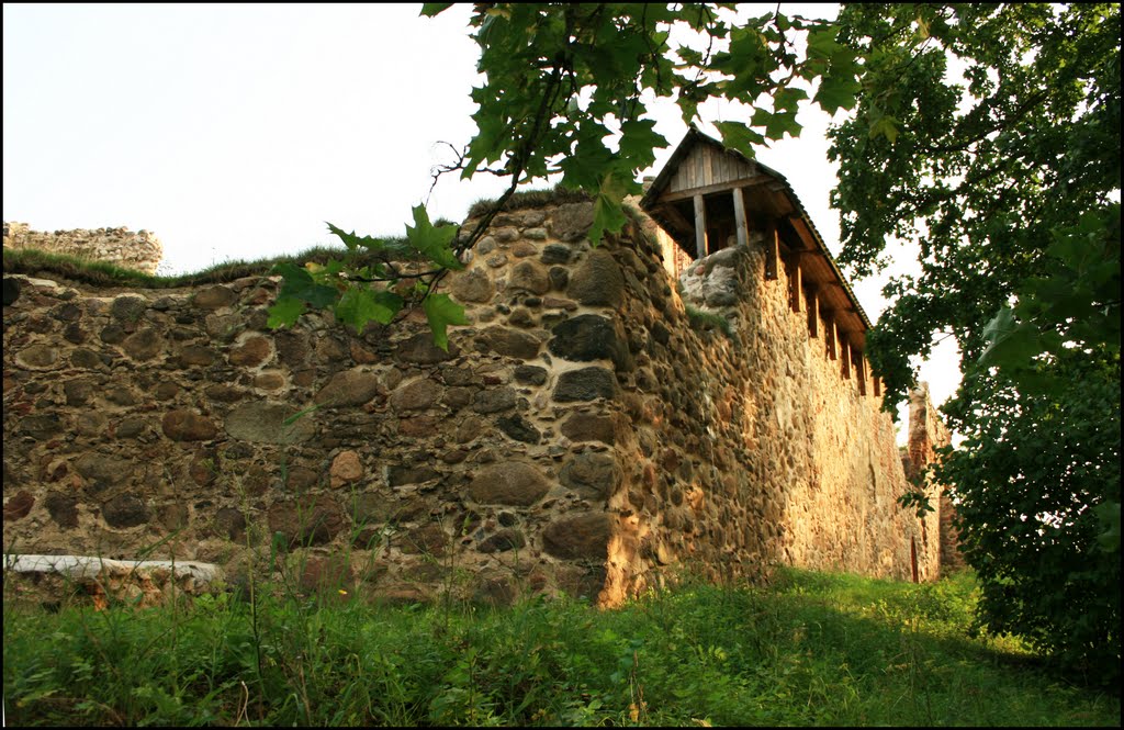 Dobele castle by Laima Gūtmane(simka)