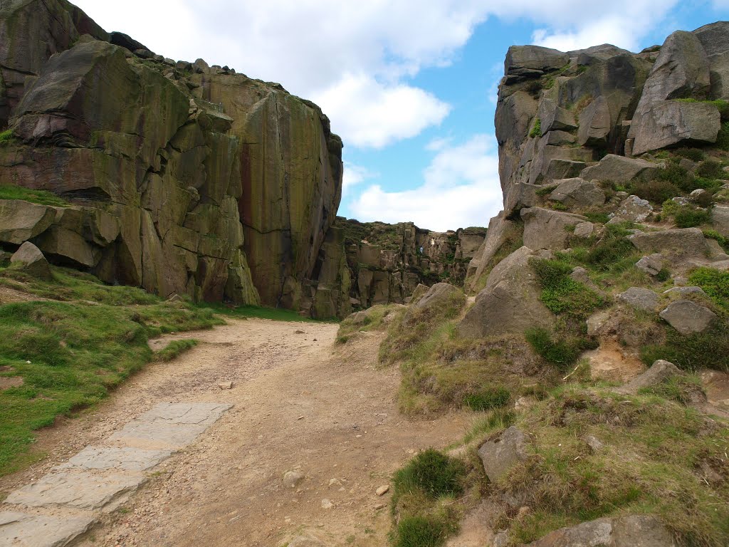 Ilkley - cow & calf by Luc Hermans