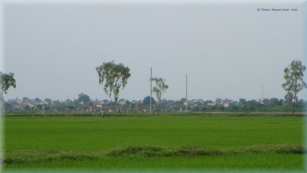 Trâm Nhị - Vân Du by Thắng Nguyễn Xuân