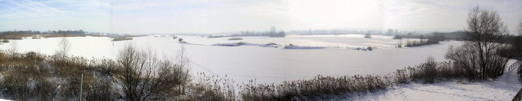 Vogelinselpano im Winter by Mario Wenski