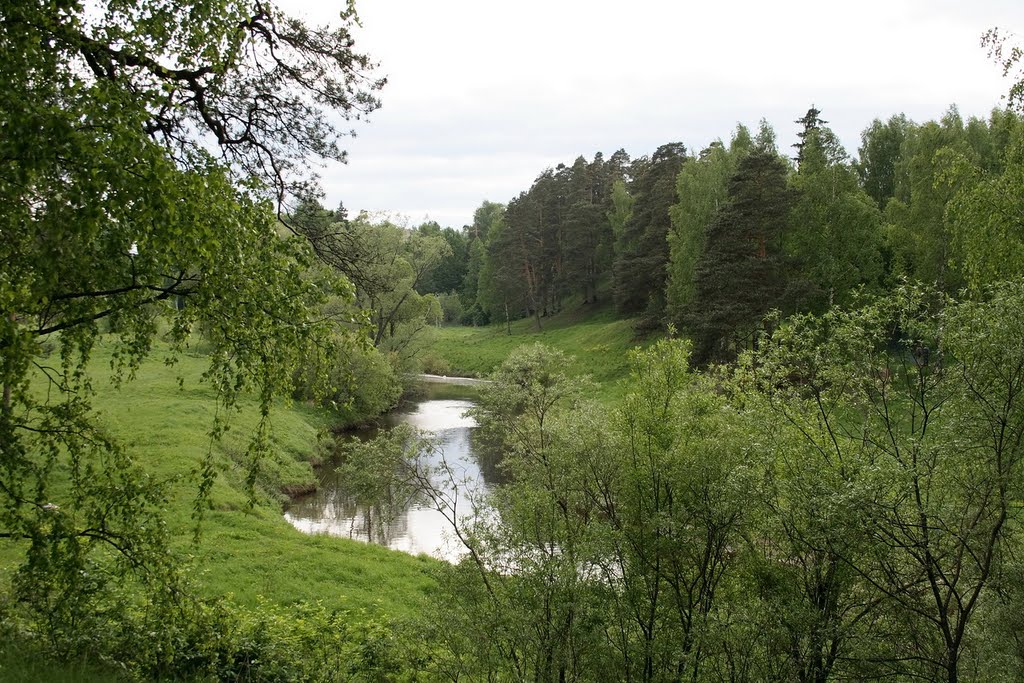 Река Черёмуха / Cheremuha river by Андрей Мурник