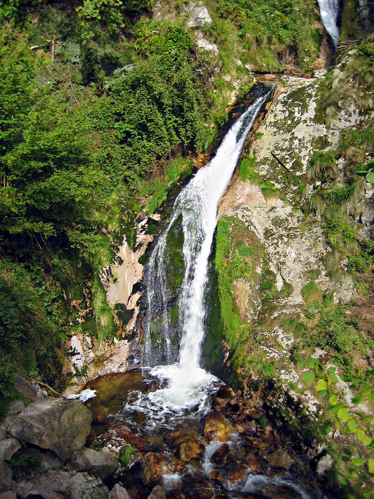 Black forest - waterfall Allerheiligen by Lektorin