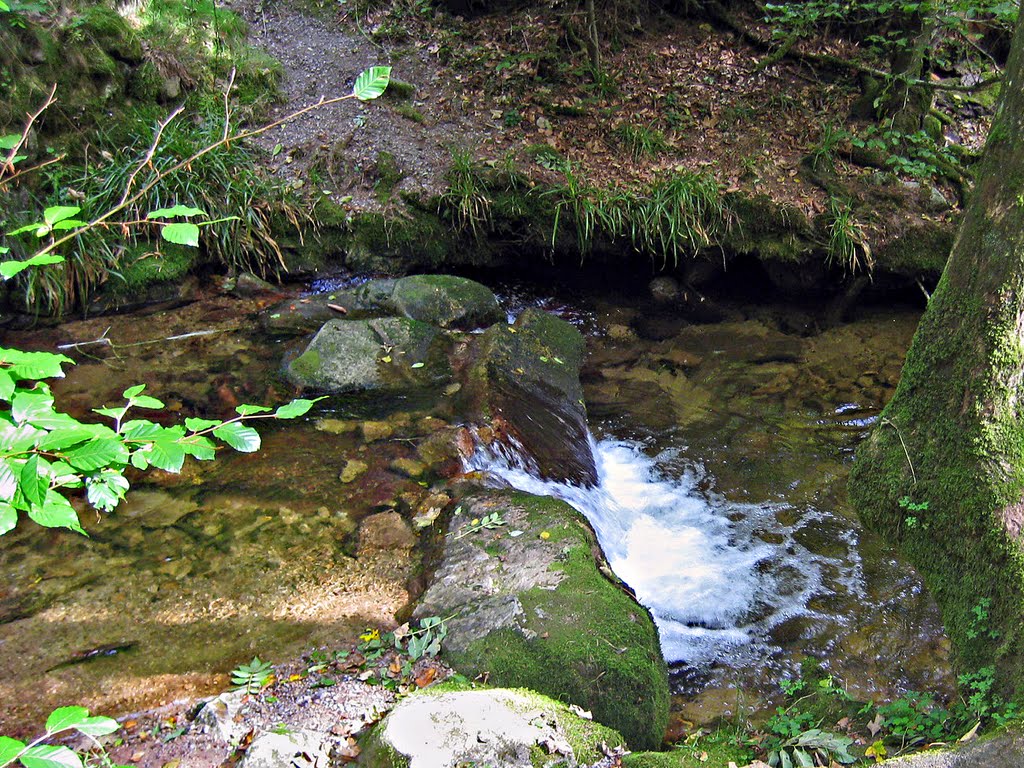 Black forest - waterfall Allerheiligen by Lektorin