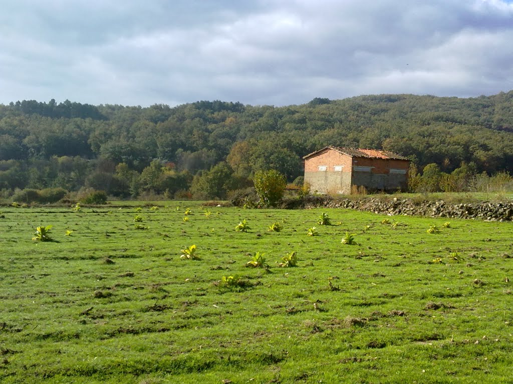 Antiguo secadero en Los Parrales. Noviembre de 2010 by viajeroandaluz