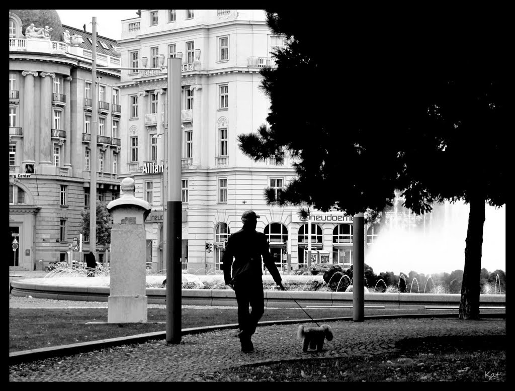 *Man & Dog* by ka9894