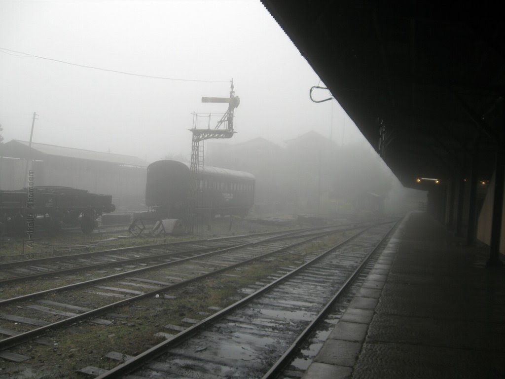 Rail carriages by Saltha Dsevenii