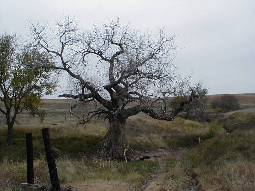 Beaver County, OK, USA by Jason Hayes