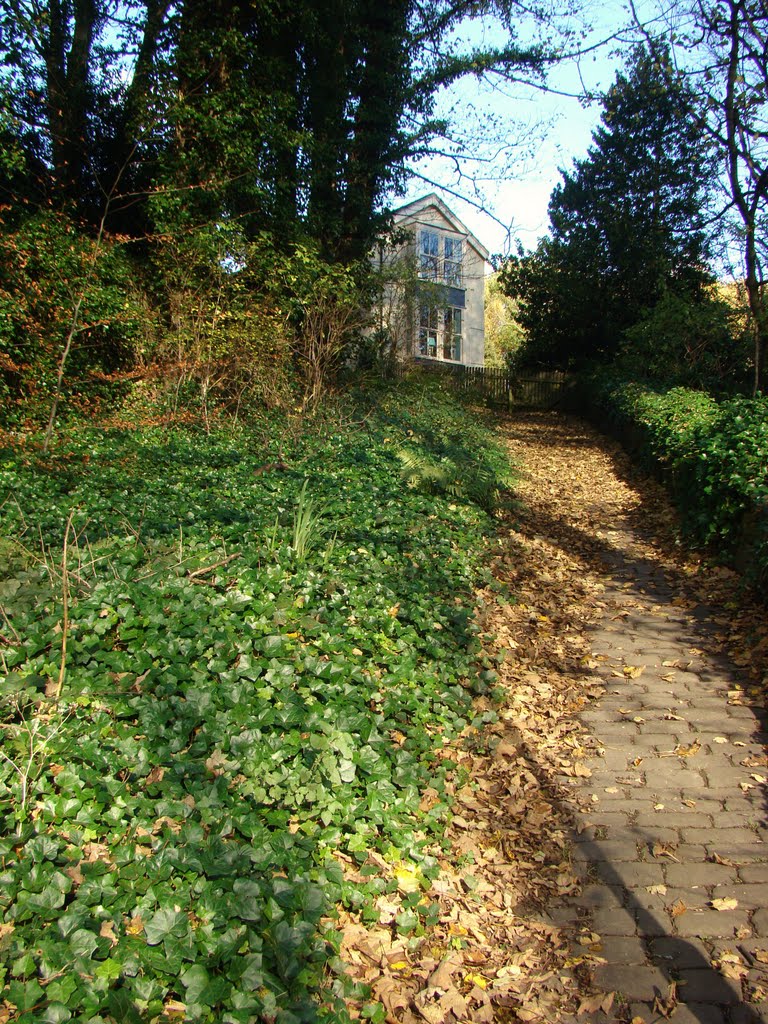 Looking up a cobbled footpath near the S bend cottages, Rivelin Valley, Sheffield S6 by sixxsix