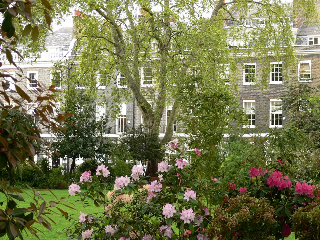 Bedford Square - London by Naru Kenji