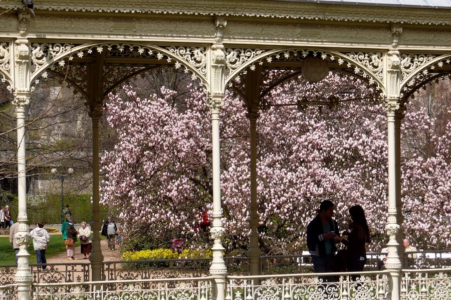 Spring in Karlsbad (Karlovy Vary) by © alfredschaffer