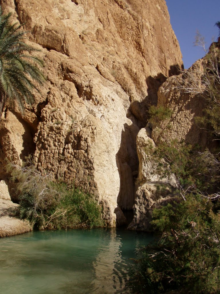 Voda v Chebiki - water i n Chebika by Egon Likar