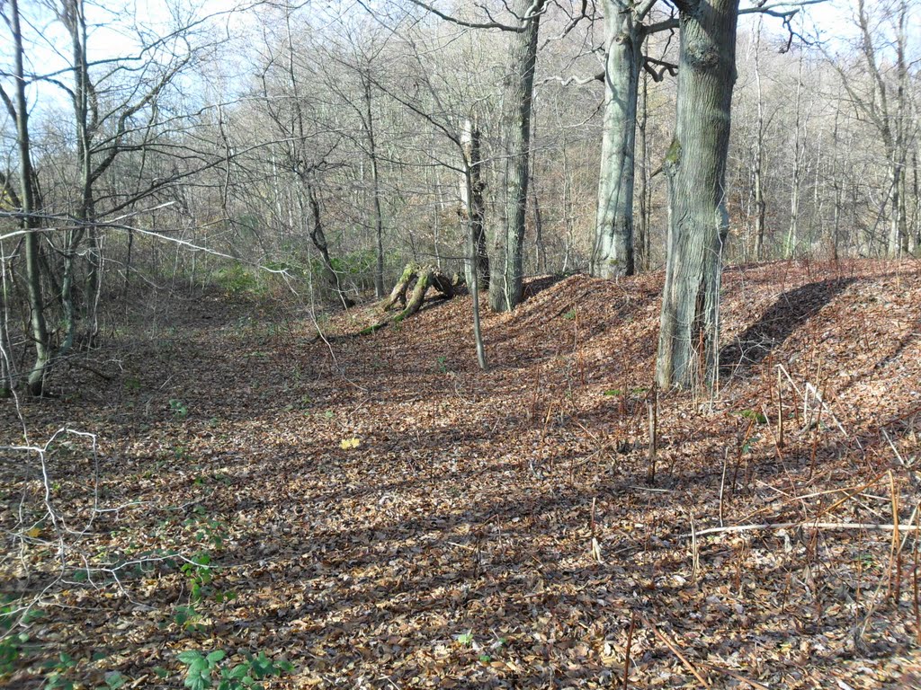 Wiebelskirchen am Annaschacht by Ko Kö