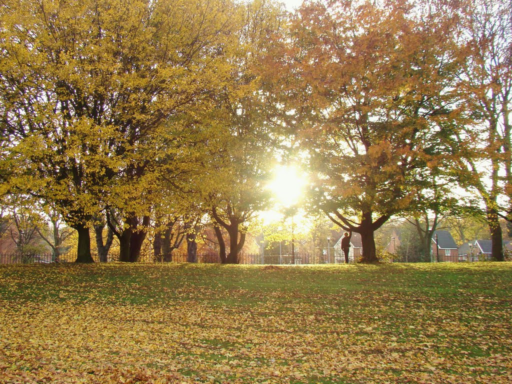 Autumn colours in Middlewood Park looking towards Middlewood Road 3, Sheffield S6 by sixxsix