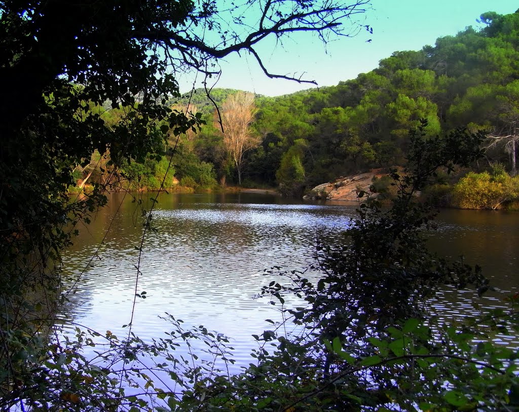 El llac petit by migman