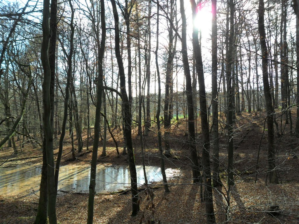 Wiebelskirchen am Annaschacht by Ko Kö