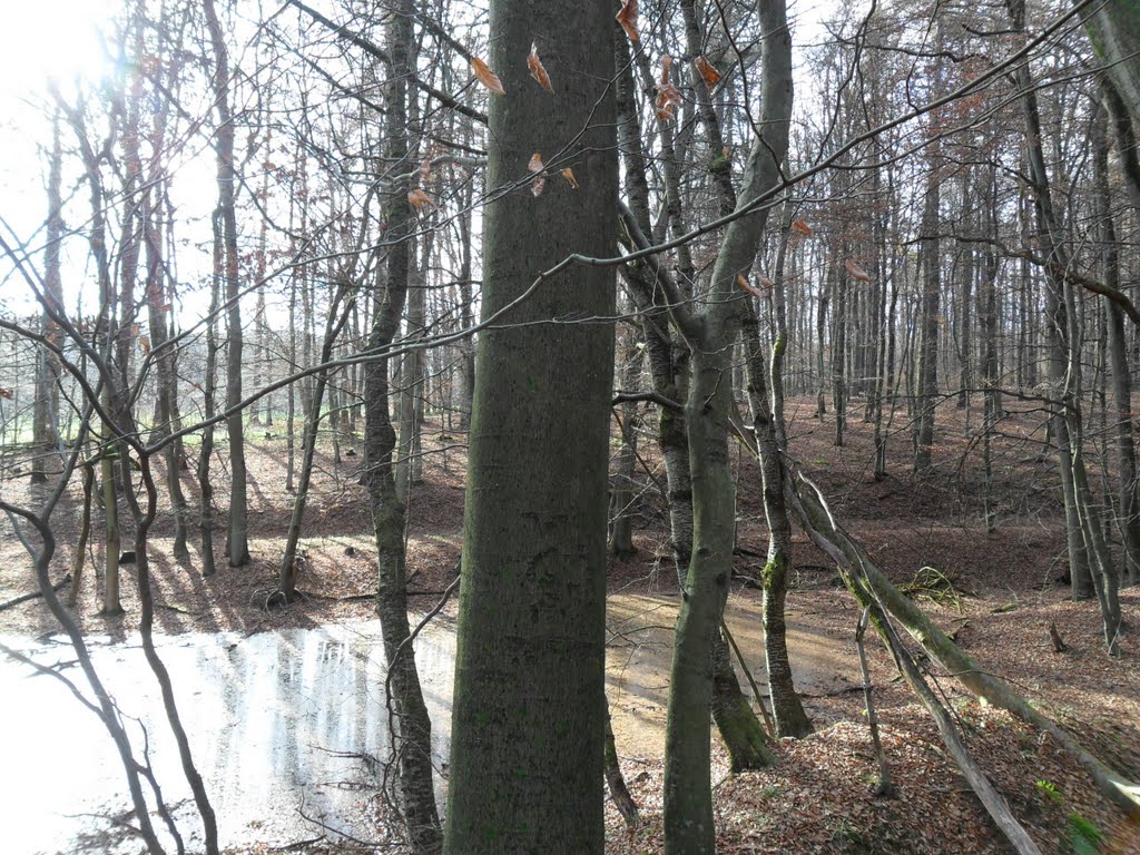 Wiebelskirchen am Annaschacht by Ko Kö