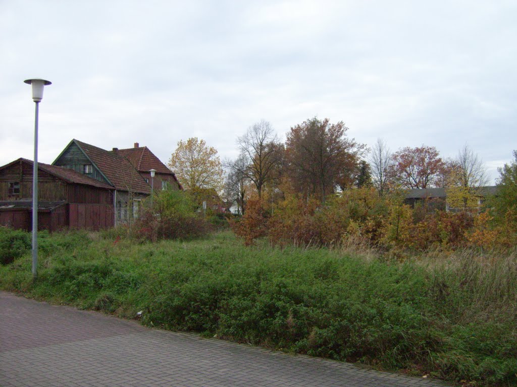 Herbstwald by C. Rüger