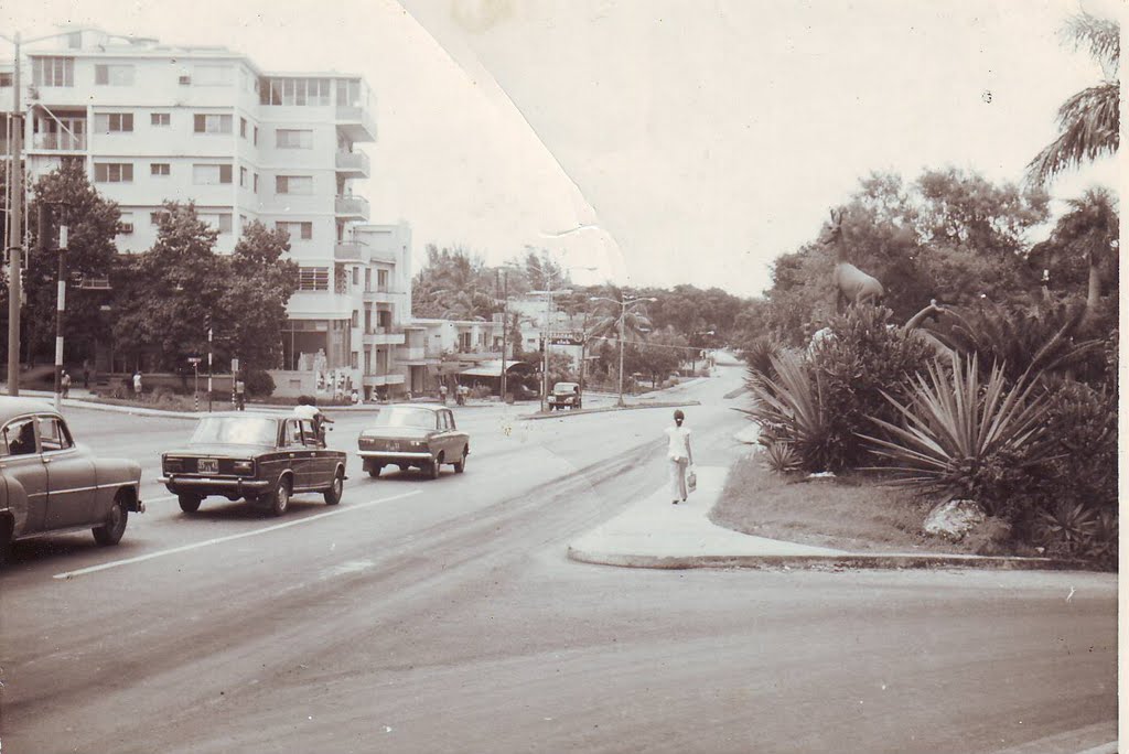 Avenida frente al zoologico by frankz